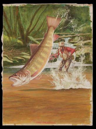 Trout on Line in Brown Water