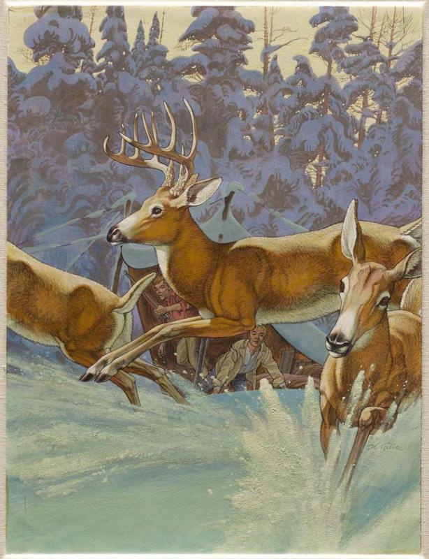 Deer in Water, Campers in Tent