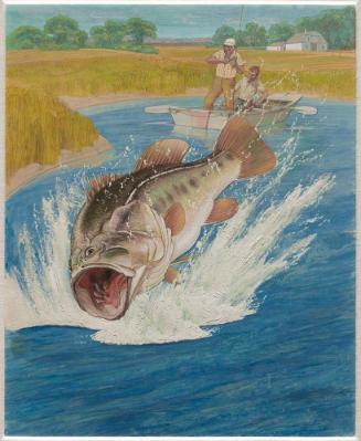 Trout on the Line