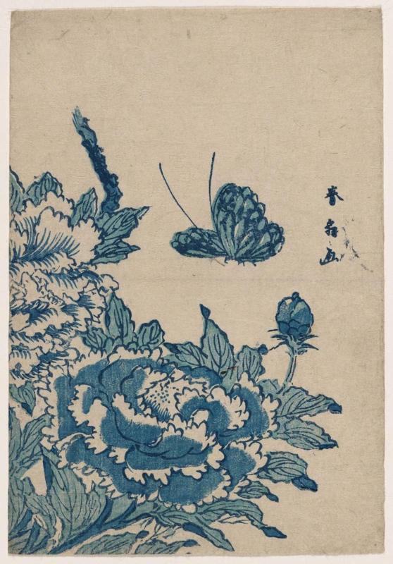 Butterfly and Peonies