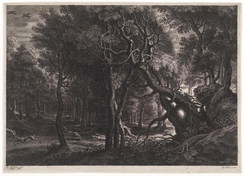 Hunt in the Wood