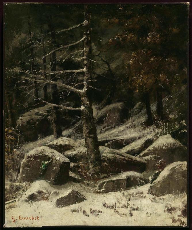 Wooded Hillside in Winter