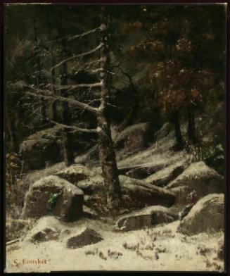 Wooded Hillside in Winter