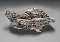Naturalistic brooch