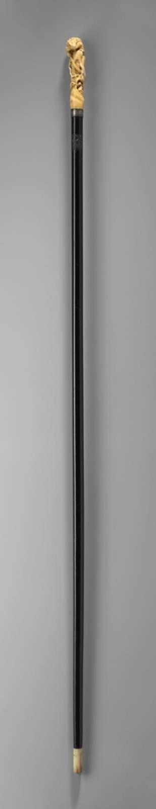Walking stick