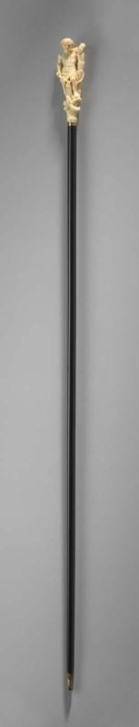 Walking stick