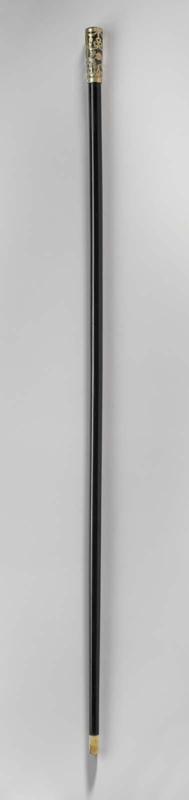 Walking stick