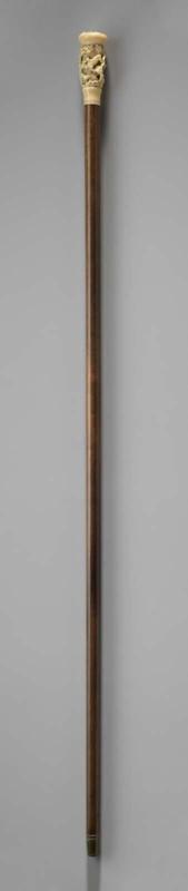 Walking stick