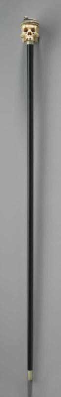 Walking stick
