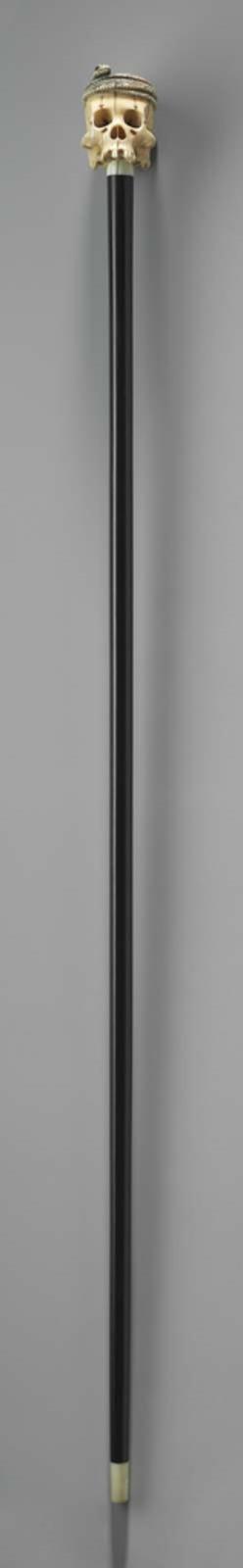 Walking stick