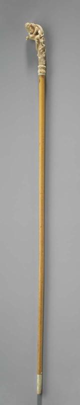 Walking stick