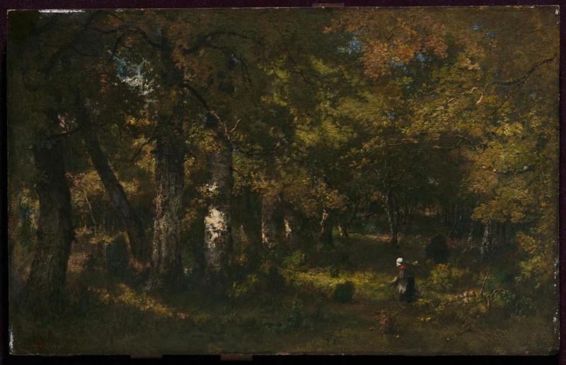Forest Interior