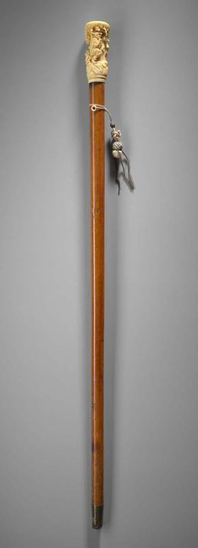 Walking stick