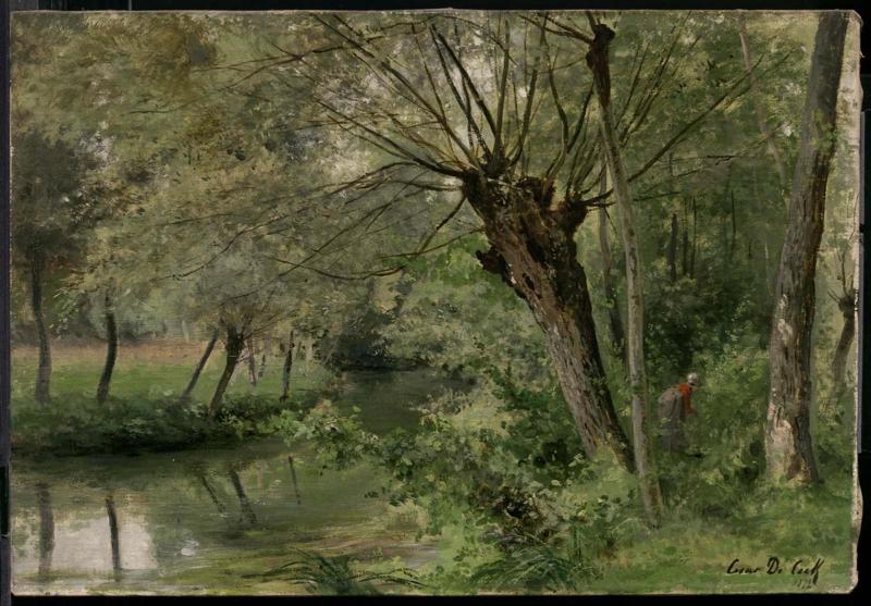 Stream through the Forest