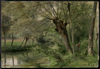 Stream through the Forest