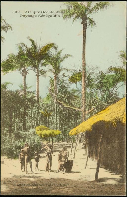 Paysage Sénégalais