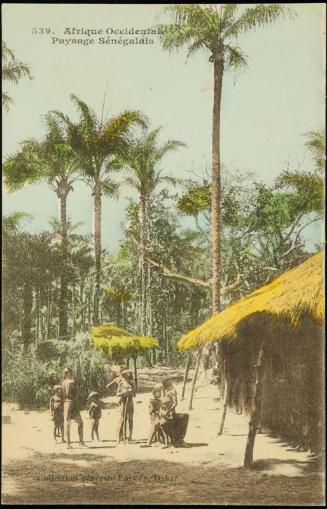 Paysage Sénégalais