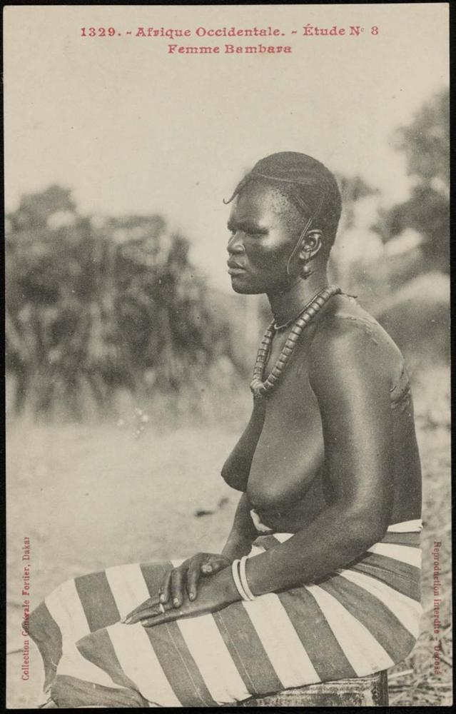 Étude No 8; Femme Bambara