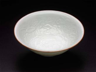 Dish