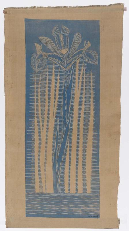 Iris