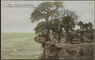 Paysage Sénégalais (sur la Côte)