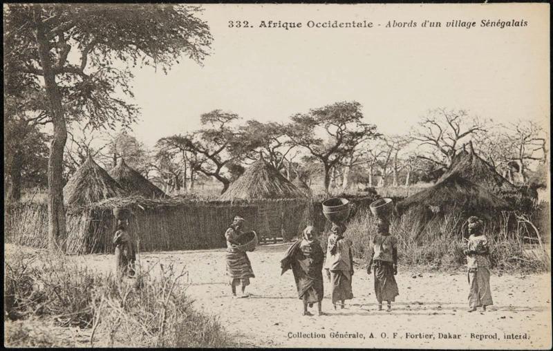 Abords d'un village Sénégalais