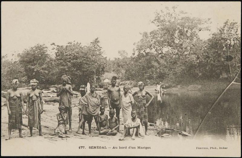 Au bord d'un Marigot