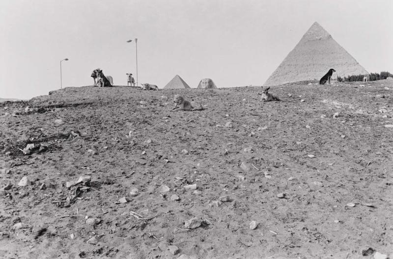 Egypt