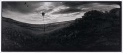 Plum Island