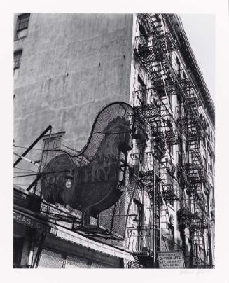 Rooster, from the portfolio Berenice Abbott's New York II