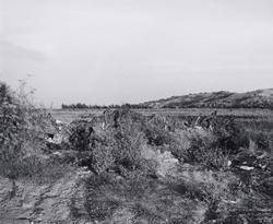 San Quentin Point No. 2