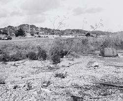 San Quentin Point No. 40G