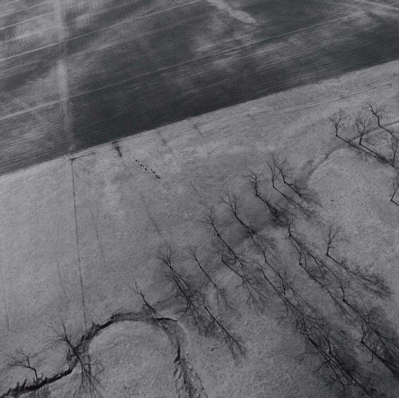 Aerial view: Trees and field - near Tulsa, OK