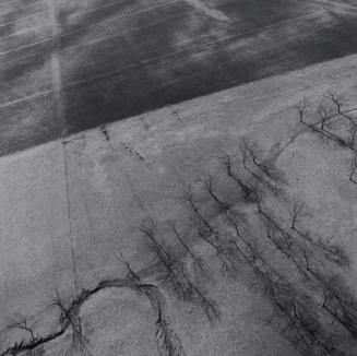Aerial view: Trees and field - near Tulsa, OK