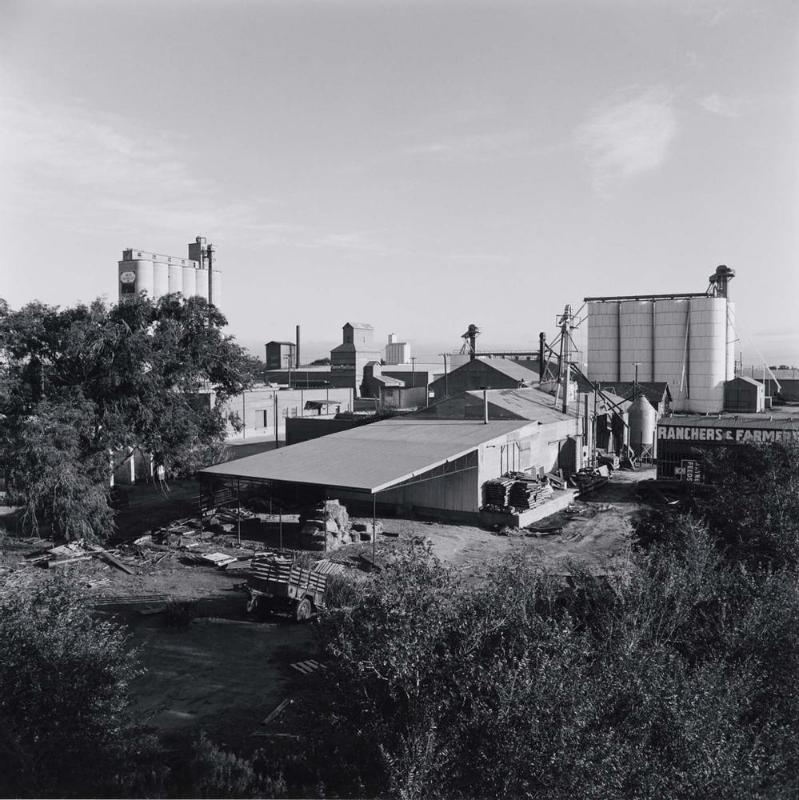 Landscape - Plainview, Texas
