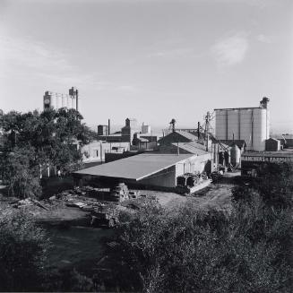 Landscape - Plainview, Texas