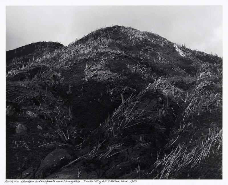 Aerial View: Blowdown and New Growth near Norway Pass
