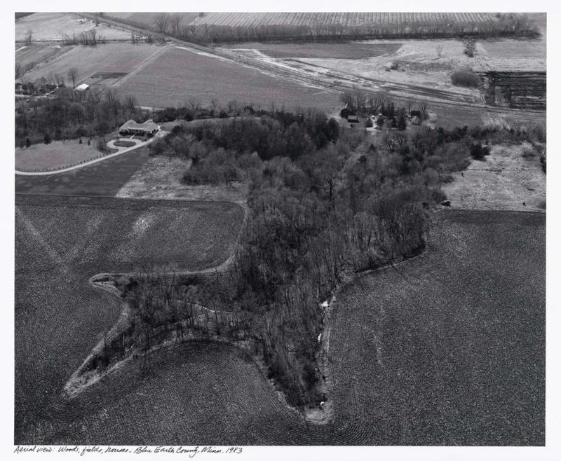 Aerial View: Woods, Fields, Houses, Blue Earth County, Minnesota