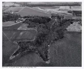 Aerial View: Woods, Fields, Houses, Blue Earth County, Minnesota