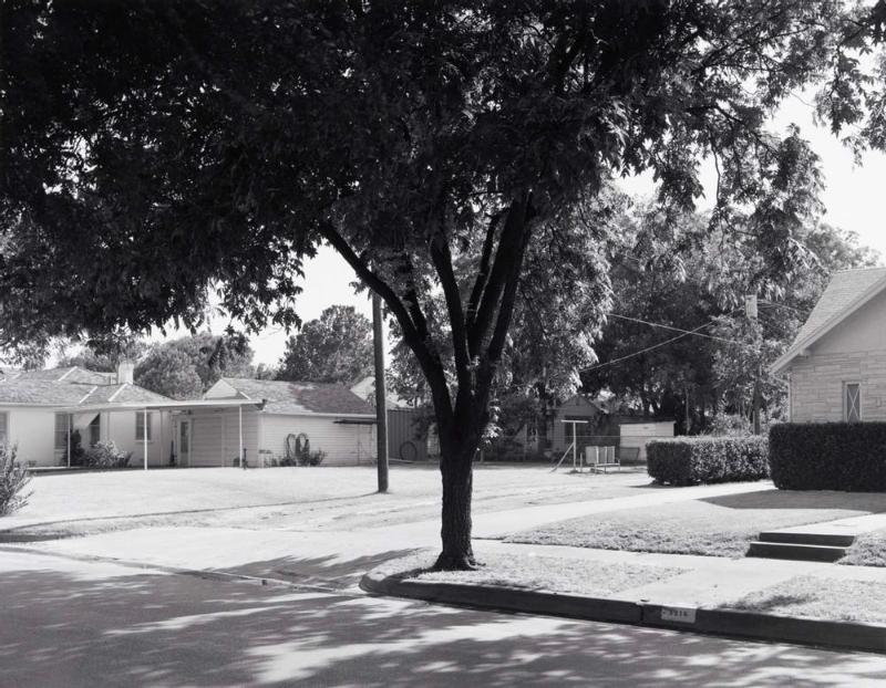 Heat and shade - 3200 block of Milby Ave.