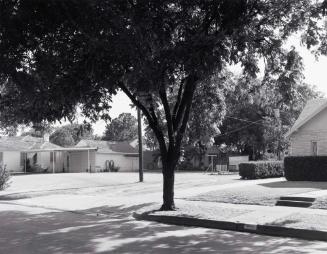 Heat and shade - 3200 block of Milby Ave.