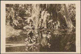 La baignade dans un Marigot