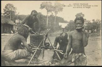 CONGO FRANÇAIS. Bon appétit! En train de décortiquer un chien