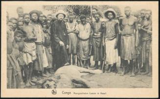 Congo; Neergeschoten Leeuw in Kasaï