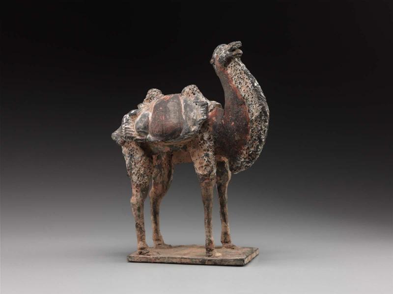 Camel