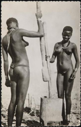 MAYO-KEBBI. Tchad - Pileuses de Mil