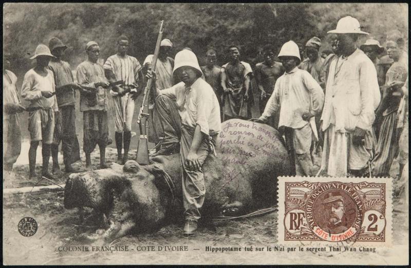 COLONIE FRANÇAISE - COTE D'IVOIRE - Hippopotame tué sur le N'zi par le sergent Thaï Wan Chang