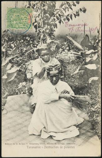 Tananarive - Destruction de parasites