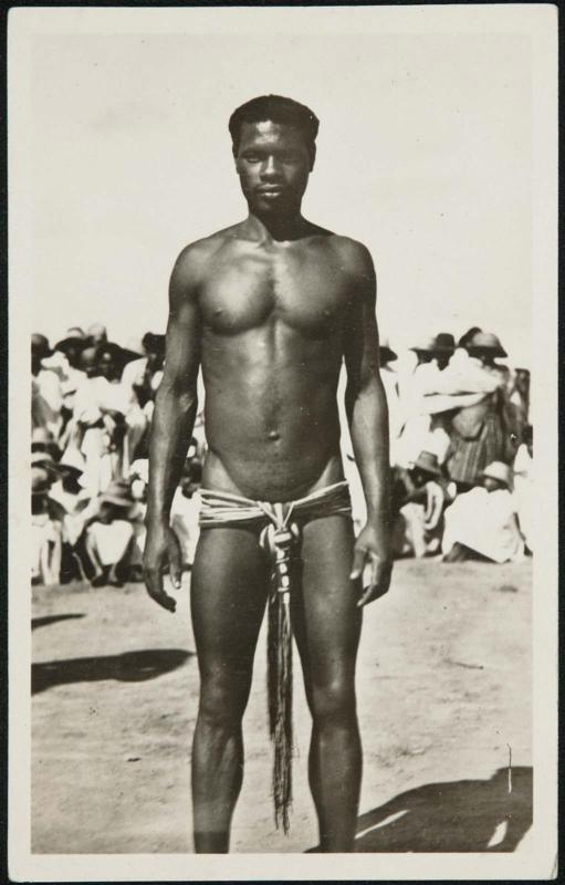 MADAGASCAR. Bara voleur de boeufs