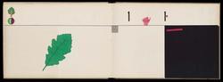 I numeri. (Il Sapere dei Bambini. N. 1.)
